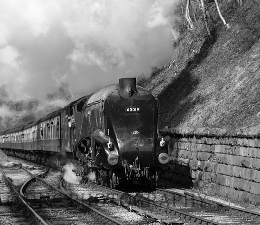 LNER A4 60019 Bittern