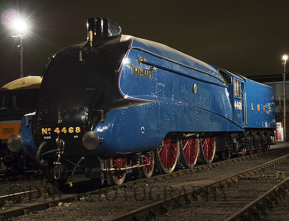 A4 4468 Mallard