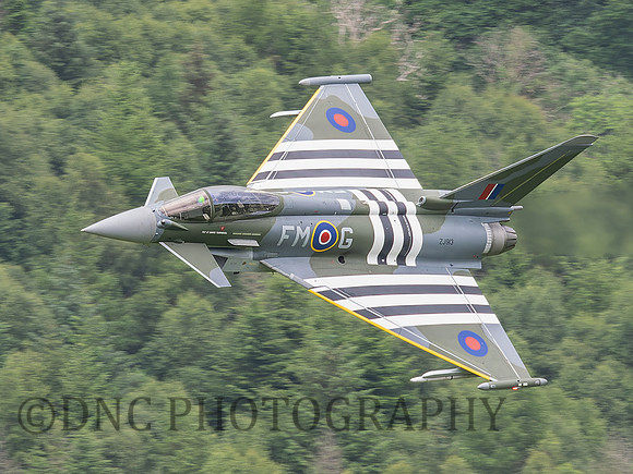 Typhoon FGR4 ZJ913 Moggy