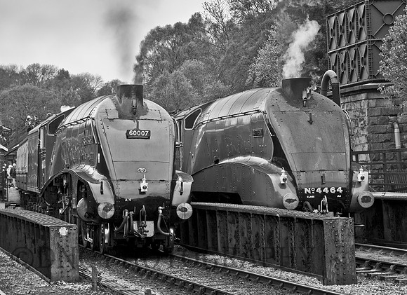 Ex LNER 4-6-2 A4's 60007 "Sir Nigel Gresley & 4464 "Bittern"