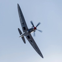 BBMF Supermarine Spitfire Mk (PR XIX) PS915