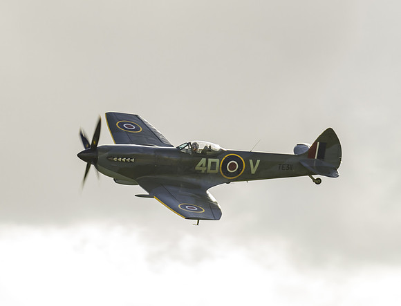 Supermarine Spitfire (Mk LF XVIE) TE311