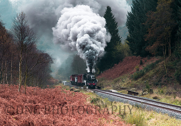 44806 in Newtondale.