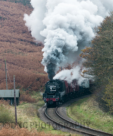 44806