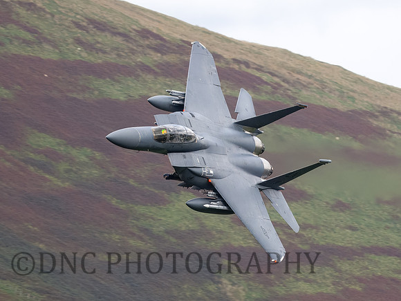 USAF F-15E Strike Eagle LN AF91-0311