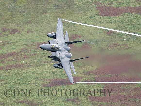 USAF F-15E Strike Eagle LN AF91-0311