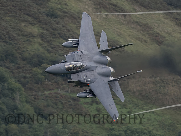 USAF F-15E Strike Eagle LN AF98-0134