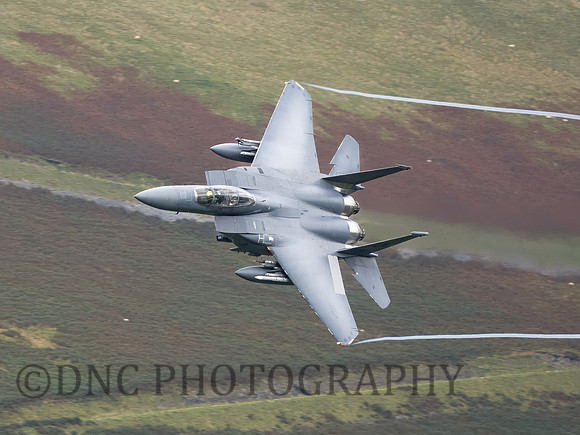 USAF F-15E Strike Eagle LN AF01-2001