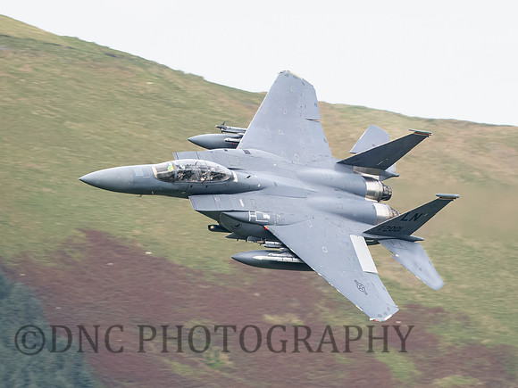 USAF F-15E Strike Eagle LN AF01-2001