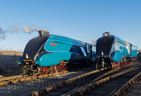 LNER A4 4464 Bittern 4489 Dominion of Canada