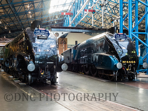 A4 60009 Union of South Africa & (60010) 4489 Dominion of Canada