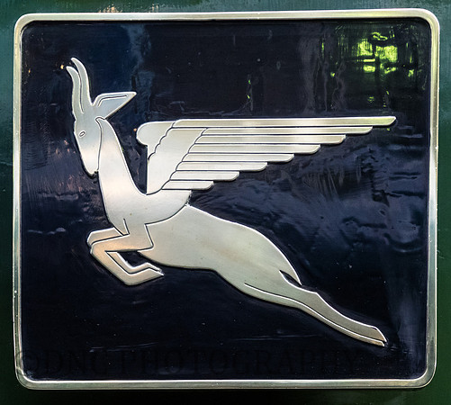 60009 Union of South Africa Springbok