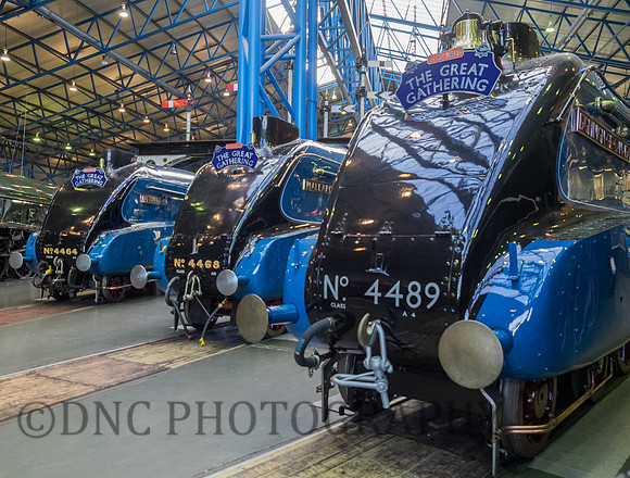 LNER A4's 4464, 4468 & 4489