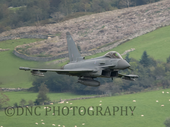 Typhoon FGR4 ZK371