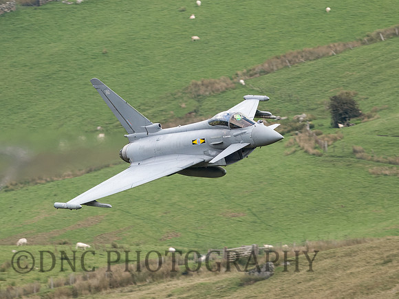 Typhoon FGR4 ZK360