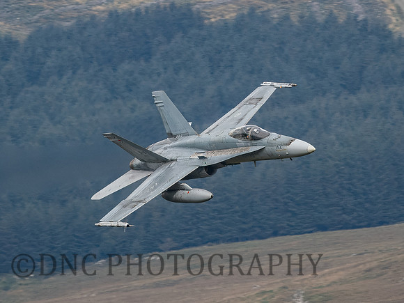 RCAF CF-188 (FA-18A) Hornet 188742 Blade Flight