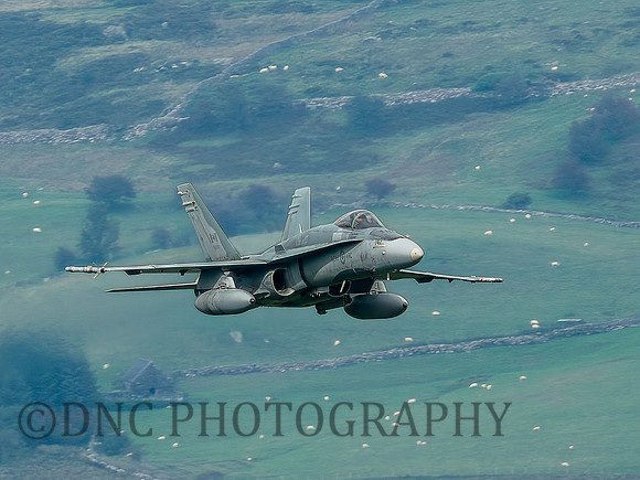 RCAF CF-188 (FA-18A) Hornet 188742 Blade Flight