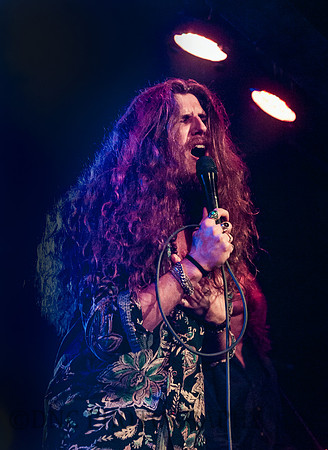 Stevie Westwood