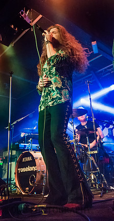 Stevie Westwood