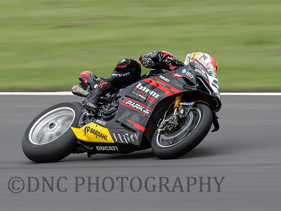 Danilo Petrucci Barni Spark Racing Team Ducati Panigale V4R