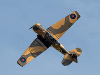 North American Harvard T-6G AJ841 Wacky Rabbit .7