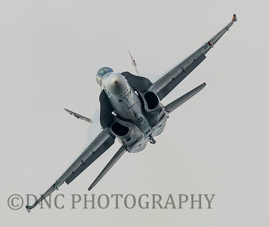 Swiss Air Force F18 J-5010