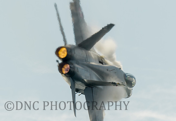 Swiss Air Force F18 J-5010