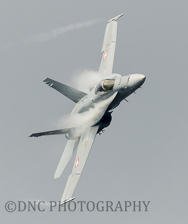 Swiss Air Force F18 J-5010