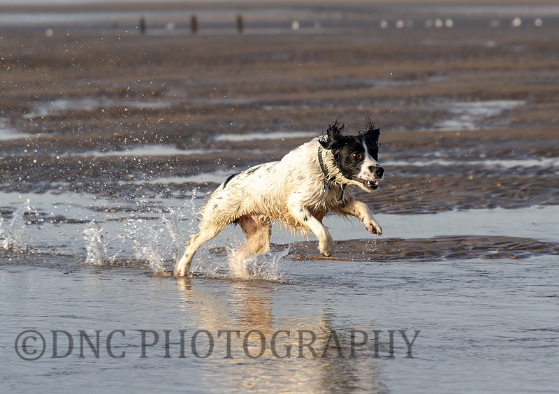 Cleethorpes 11th December 2018