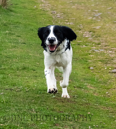 The Cheviots 13th September 2018
