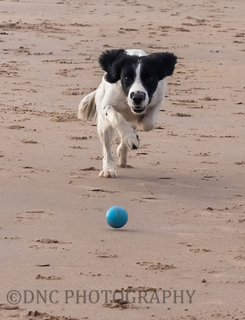 St Aidens Beach 9th September 2018