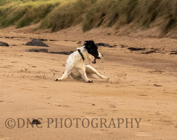 St Aidens Beach 9th September 2018