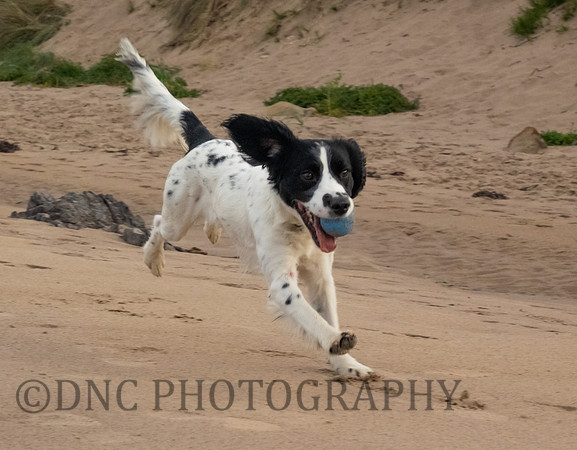 St Aidens Beach 9th September 2018