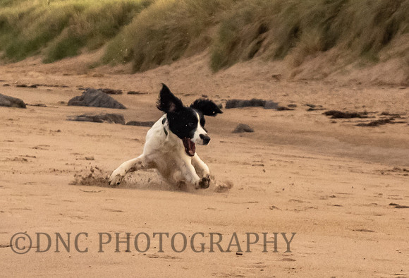 St Aidens Beach 9th September 2018