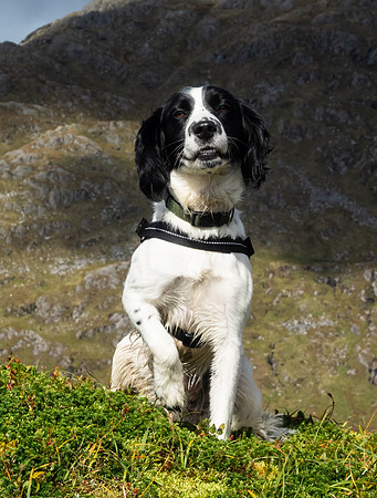 Sgurr an Utha 6th September 2018