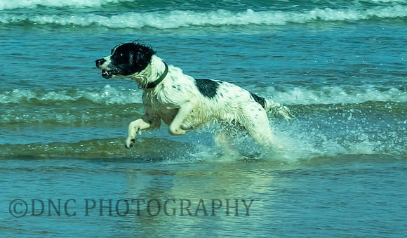 St Aidens Beach 11th September 2018