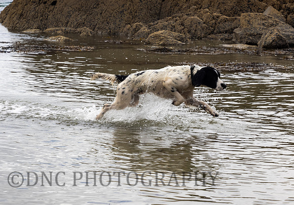 Peanmeanach Beach 7th September 2018