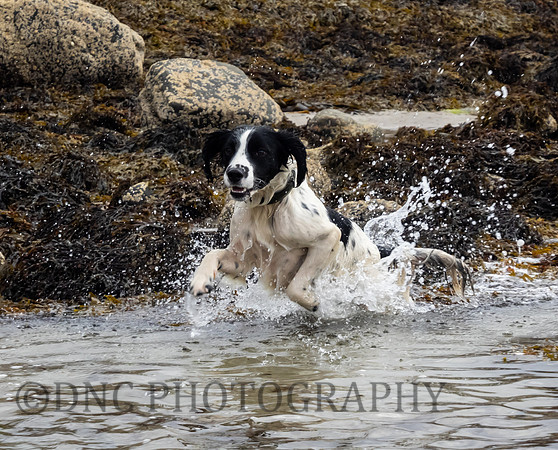 Peanmeanach Beach 7th September 2018