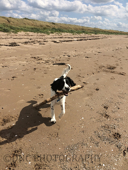 Prestwick Beach 31st August 2018