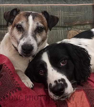 Buddies 11th September 2018
