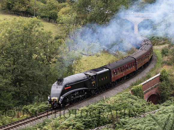LNER A4 4498 Sir Nigel Gresley at Darnholm.