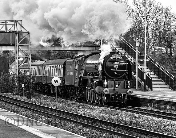 A1 60163 Tornado passing Church Fenton The Auld Reekie 3rd March 2019