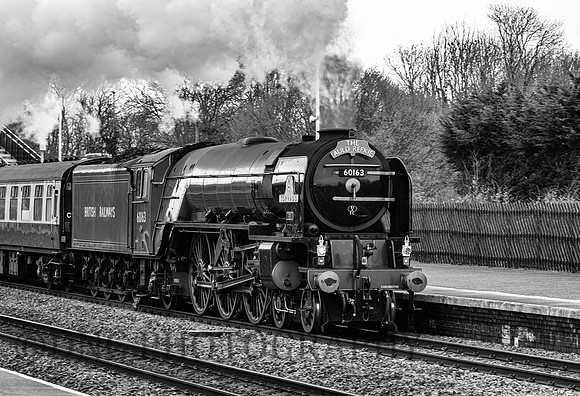 A1 60163 Tornado passing Church Fenton The Auld Reekie 3rd March 2019