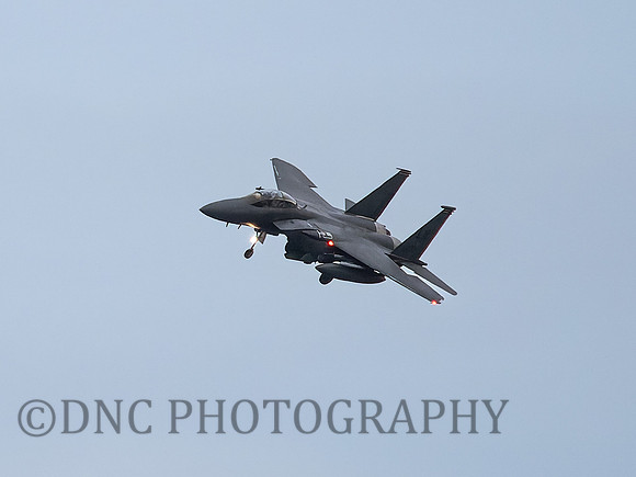 F-15E Strike Eagle LN AF 91-603