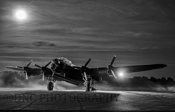 In the moonlight