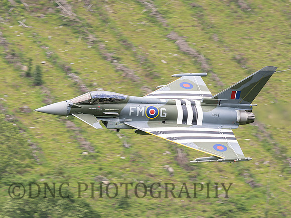 Typhoon FGR4 ZJ913 Moggy
