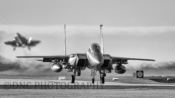 F-15E Strike Eagle LN AF 91-310