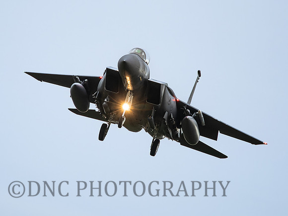 F-15E Strike Eagle LN AF 91-310