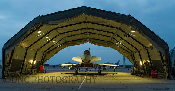 Typhoon T3 ZJ810 29 (R) sqn