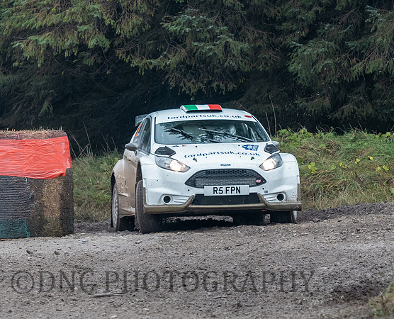 Trevor Gamble & Ronny Roughead Ford Fiesta R5